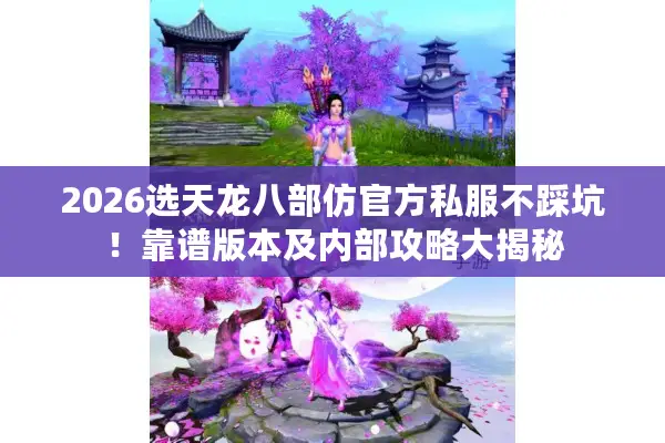 2026选天龙八部仿官方私服不踩坑!靠谱版本及内部攻略大揭秘 2026选天龙八部仿官方私服不踩坑!靠谱版本及内部攻略大揭秘