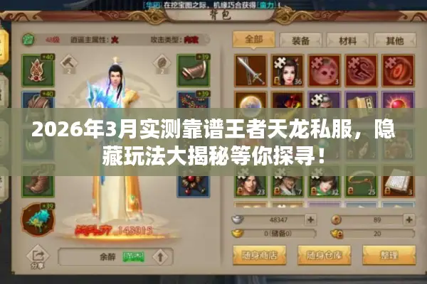 2026年3月实测靠谱王者天龙私服，隐藏玩法大揭秘等你探寻！