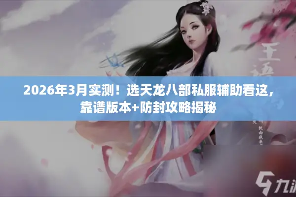 2026年3月实测！选天龙八部私服辅助看这，靠谱版本+防封攻略揭秘