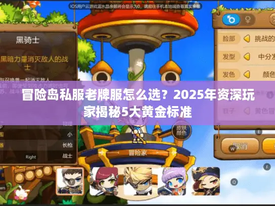冒险岛私服老牌服怎么选？2025年资深玩家揭秘5大黄金标准