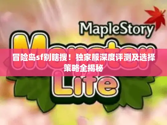 冒险岛sf别瞎搜！独家服深度评测及选择策略全揭秘