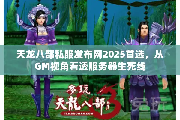 天龙八部私服发布网2025首选,从GM视角看透服务器生死线 天龙八部私服发布网2025首选,从GM视角看透服务器生死线