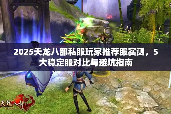 2025天龙八部私服玩家推荐服实测，5大稳定服对比与避坑指南