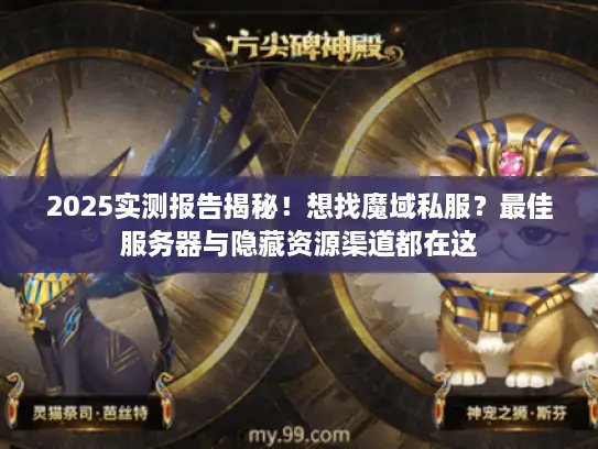 2025实测报告揭秘！想找魔域私服？最佳服务器与隐藏资源渠道都在这
