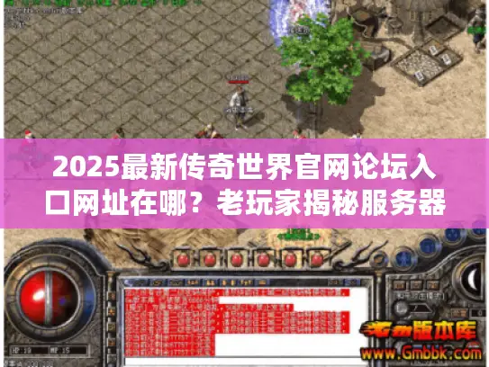 2025最新传奇世界官网论坛入口网址在哪？老玩家揭秘服务器选择黄金法则