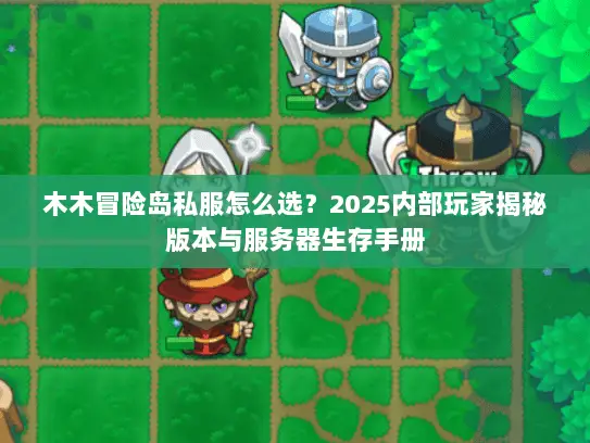 木木冒险岛私服怎么选?2025内部玩家揭秘版本与服务器生存手册 木木冒险岛私服怎么选?2025内部玩家揭秘版本与服务器生存手册