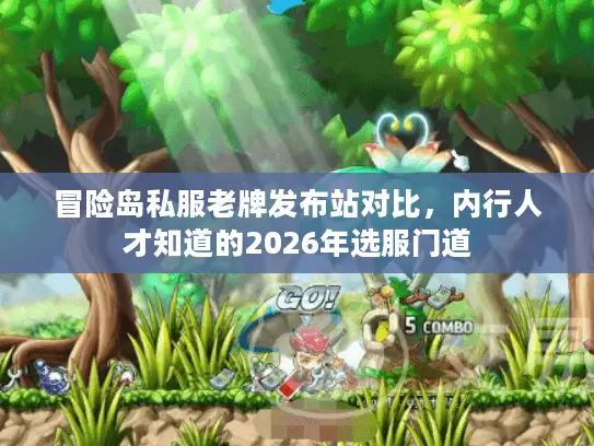 冒险岛私服老牌发布站对比，内行人才知道的2026年选服门道