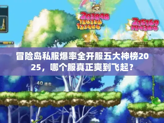 冒险岛私服爆率全开服五大神榜2025,哪个服真正爽到飞起? 冒险岛私服爆率全开服五大神榜2025,哪个服真正爽到飞起?