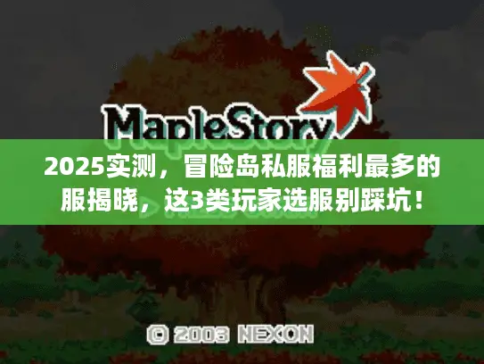 2025实测，冒险岛私服福利最多的服揭晓，这3类玩家选服别踩坑！