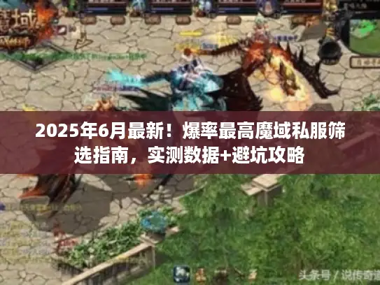 2025年6月最新!爆率最高魔域私服筛选指南,实测数据+避坑攻略 2025年6月最新!爆率最高魔域私服筛选指南,实测数据+避坑攻略