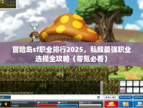 冒险岛sf职业排行2025，私服最强职业选择全攻略（零氪必看）