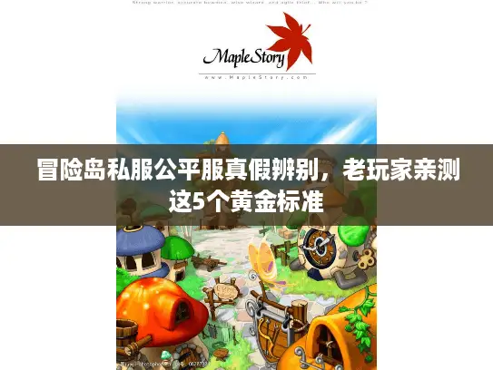 冒险岛私服公平服真假辨别，老玩家亲测这5个黄金标准