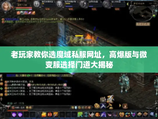 老玩家教你选魔域私服网址,高爆版与微变服选择门道大揭秘 老玩家教你选魔域私服网址,高爆版与微变服选择门道大揭秘