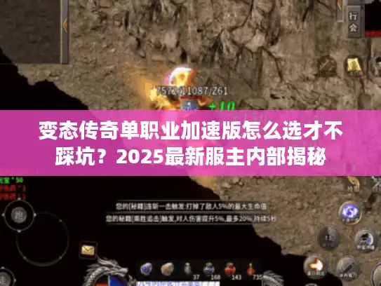 变态传奇单职业加速版怎么选才不踩坑?2025最新服主内部揭秘 变态传奇单职业加速版怎么选才不踩坑?2025最新服主内部揭秘
