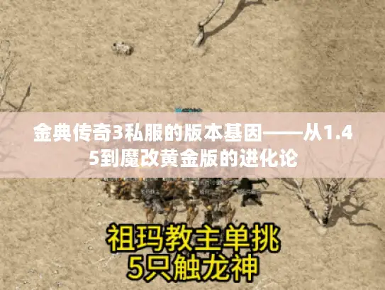金典传奇3私服的版本基因——从1.45到魔改黄金版的进化论
