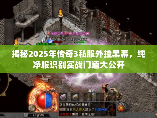 揭秘2025年传奇3私服外挂黑幕，纯净服识别实战门道大公开