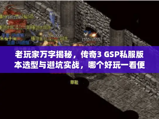 老玩家万字揭秘，传奇3 GSP私服版本选型与避坑实战，哪个好玩一看便知！
