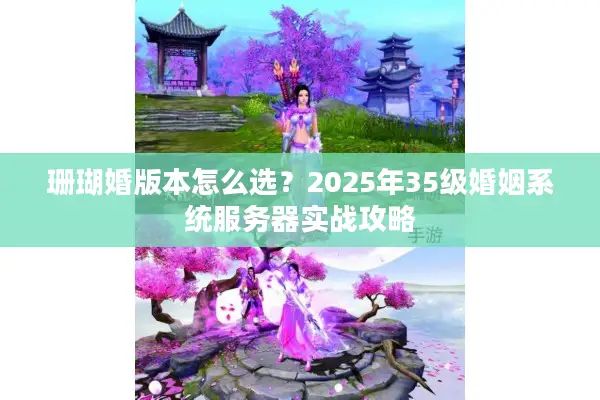 珊瑚婚版本怎么选？2025年35级婚姻系统服务器实战攻略