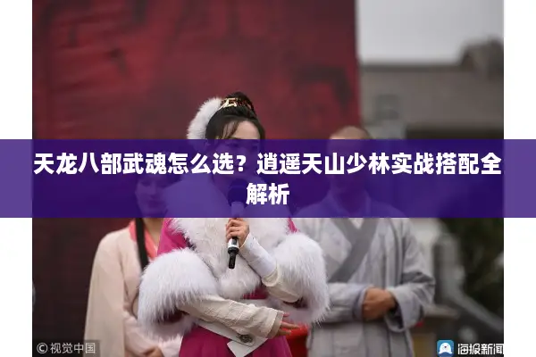 天龙八部武魂怎么选?逍遥天山少林实战搭配全解析 天龙八部武魂怎么选?逍遥天山少林实战搭配全解析