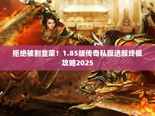拒绝被割韭菜！1.85版传奇私服选服终极攻略2025