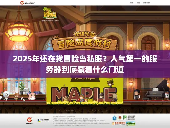 2025年还在找冒险岛私服？人气第一的服务器到底藏着什么门道