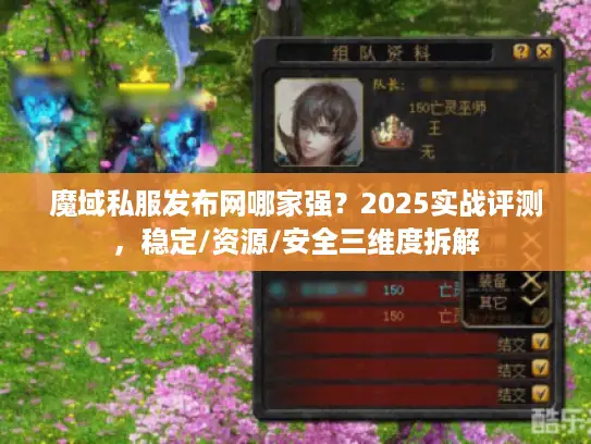 魔域私服发布网哪家强？2025实战评测，稳定/资源/安全三维度拆解
