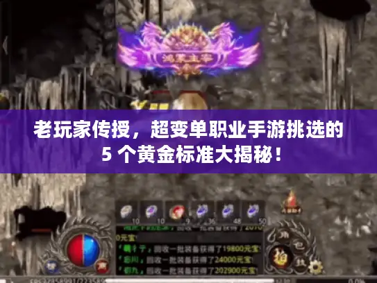 老玩家传授，超变单职业手游挑选的 5 个黄金标准大揭秘！