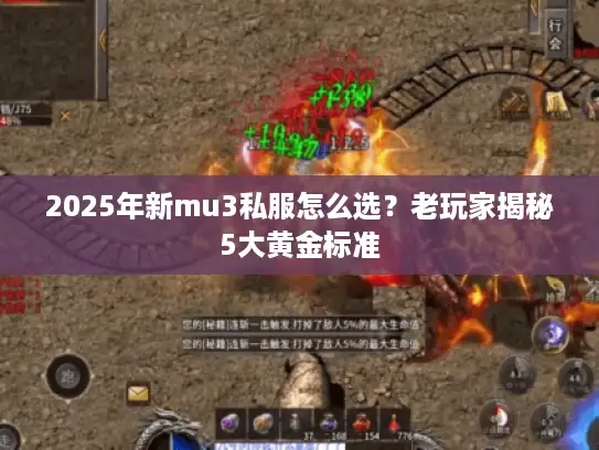 2025年新mu3私服怎么选?老玩家揭秘5大黄金标准 2025年新mu3私服怎么选?老玩家揭秘5大黄金标准