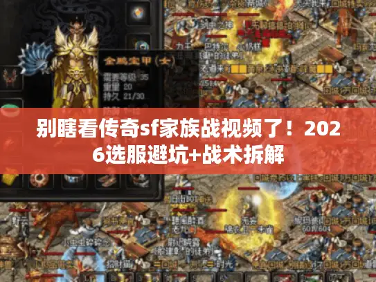 别瞎看传奇sf家族战视频了！2026选服避坑+战术拆解