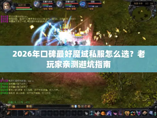 2026年口碑最好魔域私服怎么选？老玩家亲测避坑指南