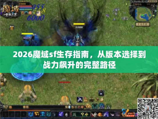 2026魔域sf生存指南，从版本选择到战力飙升的完整路径