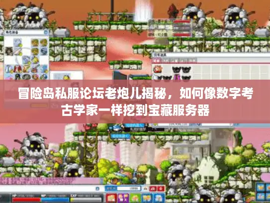 冒险岛私服论坛老炮儿揭秘，如何像数字考古学家一样挖到宝藏服务器