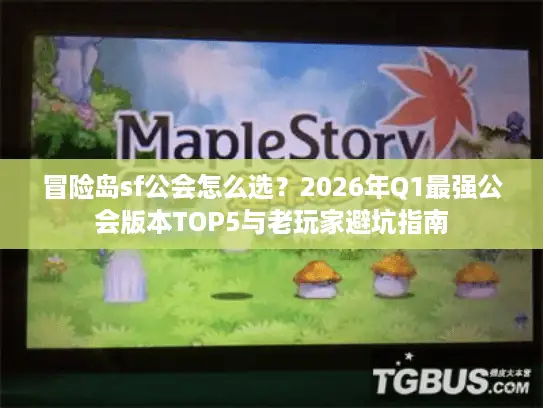 冒险岛sf公会怎么选？2026年Q1最强公会版本TOP5与老玩家避坑指南