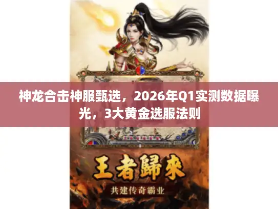 神龙合击神服甄选，2026年Q1实测数据曝光，3大黄金选服法则