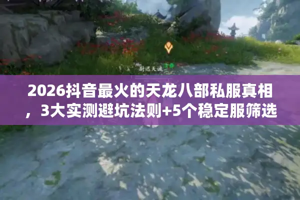 2026抖音最火的天龙八部私服真相，3大实测避坑法则+5个稳定服筛选标准