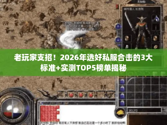 老玩家支招！2026年选好私服合击的3大标准+实测TOP5榜单揭秘