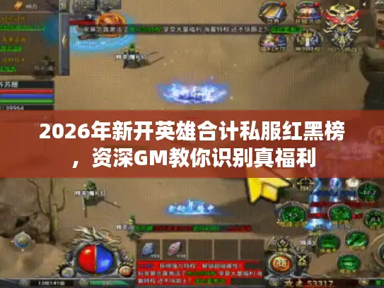 2026年新开英雄合计私服红黑榜，资深GM教你识别真福利