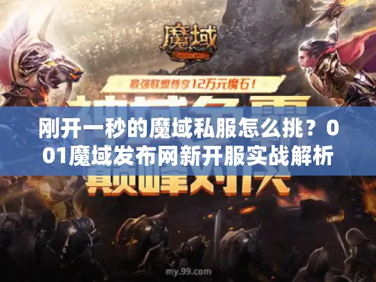 刚开一秒的魔域私服怎么挑？001魔域发布网新开服实战解析