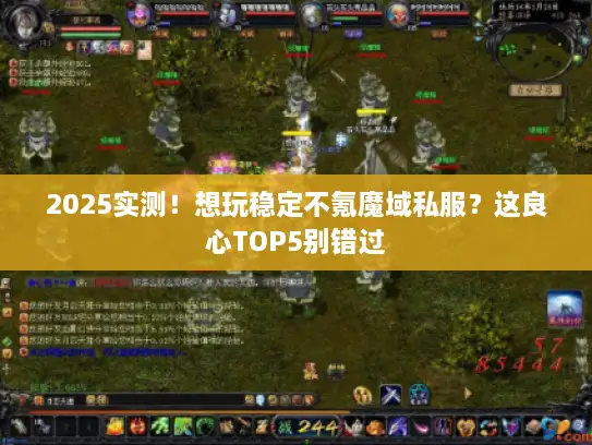 2025实测！想玩稳定不氪魔域私服？这良心TOP5别错过