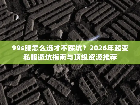 99s服怎么选才不踩坑？2026年超变私服避坑指南与顶级资源推荐