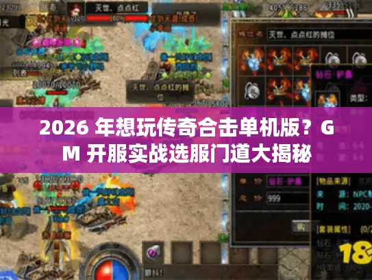 2026 年想玩传奇合击单机版?GM 开服实战选服门道大揭秘 2026 年想玩传奇合击单机版?GM 开服实战选服门道大揭秘