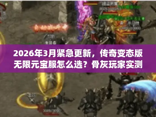 2026年3月紧急更新,传奇变态版无限元宝服怎么选?骨灰玩家实测3大黄金标准 2026年3月紧急更新,传奇变态版无限元宝服怎么选?骨灰玩家实测3大黄金标准