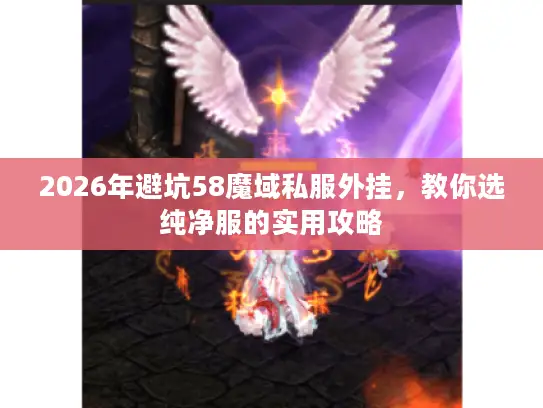 2026年避坑58魔域私服外挂，教你选纯净服的实用攻略