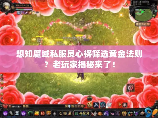 想知魔域私服良心榜筛选黄金法则？老玩家揭秘来了！