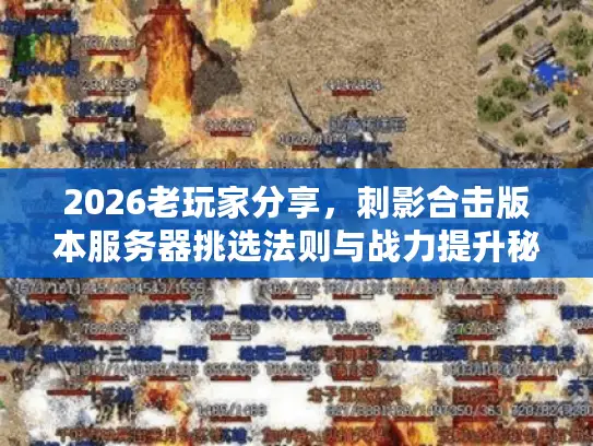 2026老玩家分享，刺影合击版本服务器挑选法则与战力提升秘诀