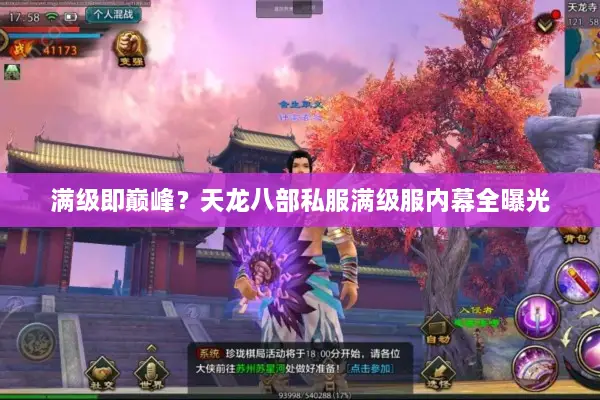 满级即巅峰?天龙八部私服满级服内幕全曝光 满级即巅峰?天龙八部私服满级服内幕全曝光