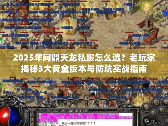 2025年问鼎天龙私服怎么选？老玩家揭秘3大黄金版本与防坑实战指南