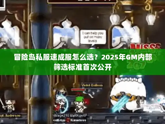 冒险岛私服速成服怎么选？2025年GM内部筛选标准首次公开