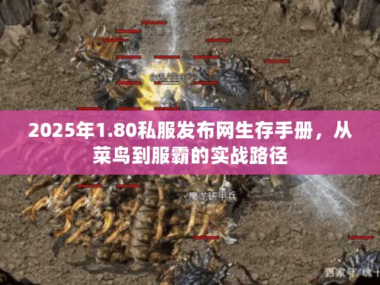 2025年1.80私服发布网生存手册，从菜鸟到服霸的实战路径