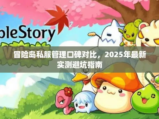冒险岛私服管理口碑对比，2025年最新实测避坑指南